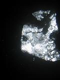 05 USA 084
